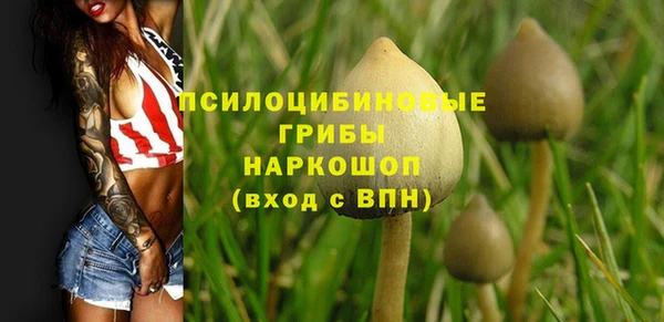 круглые Алексин