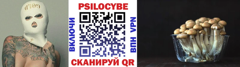 площадка формула  цены наркотик  Жиздра  Псилоцибиновые грибы мицелий 